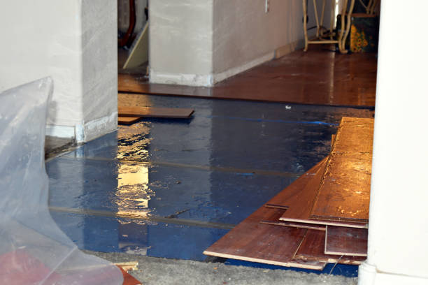 Professional Sewage Cleanup technician working in Wilson, WY